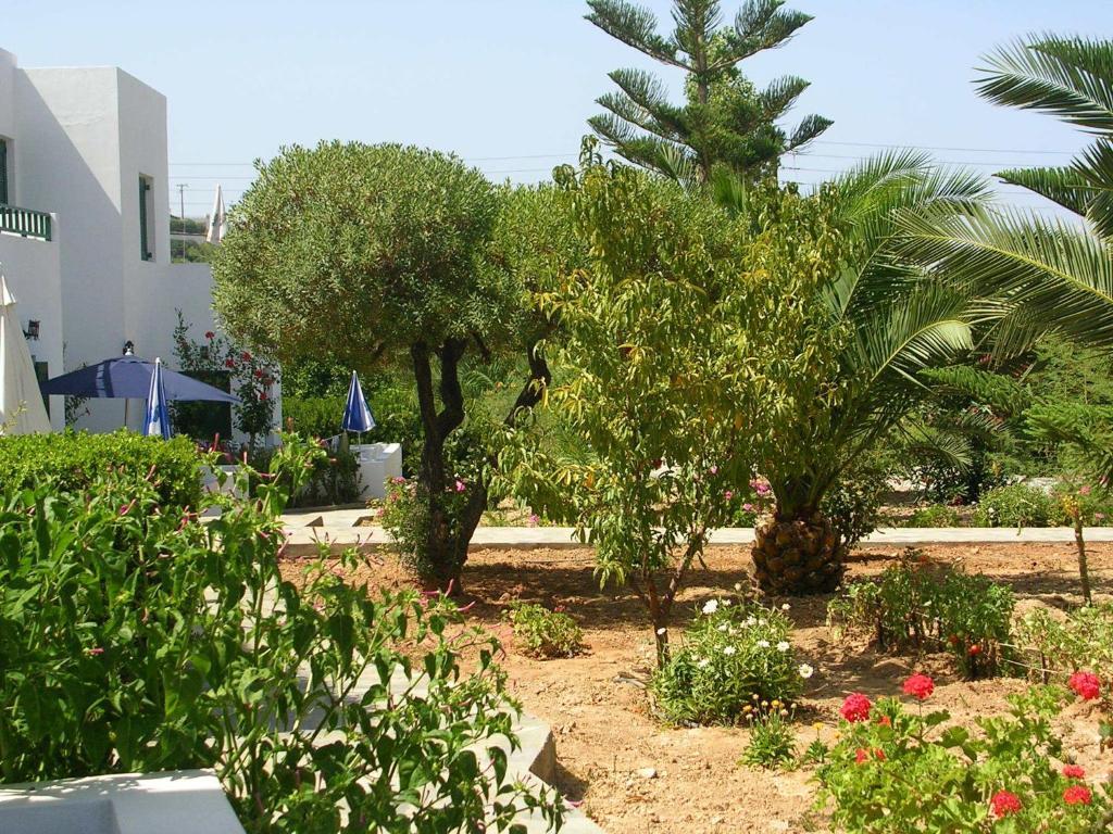 Sirius Apartments Hersónissos Chambre photo